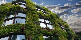 Végétaliser les façades de son logement Mur végétal