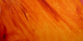 Représentation de la couleur orange Signification de la couleur orange