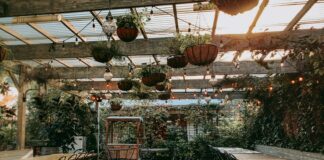 Comment décorer une pergola avec des plantes food cart near empty dining sets inside pergola during day