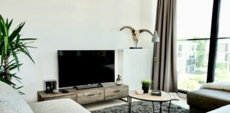 Coléoptères dans ma maison : Comment s’en débarrasser ? se débarrasser des coléoptères dans la maison