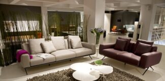 Concevoir un salon cosy avec le choix d’un canapé élégant salon cosy